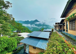 7 Days Ayurveda Retreats Abhayaranya Ashram