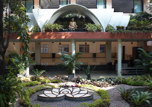 7 Days Yoga Health Camp in Mumbai