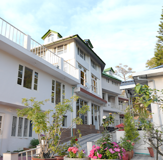 7 Days Panchkarma Detox packages in Himachal Pradesh