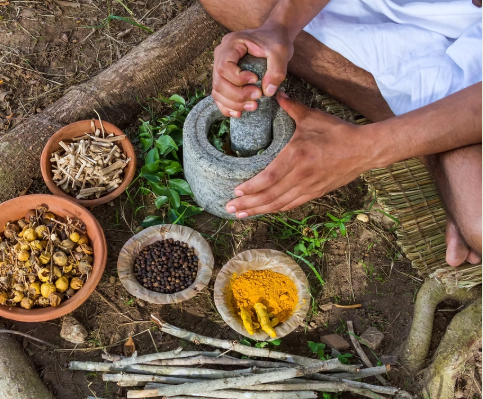 6 Day Ayurveda Retreat at Sai Veda Wellness